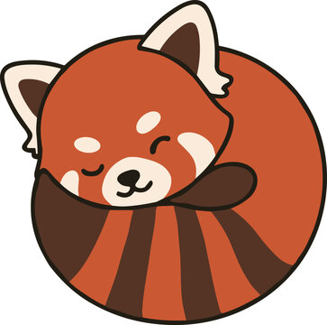 Cute sleeping red panda illustration curled in a circle