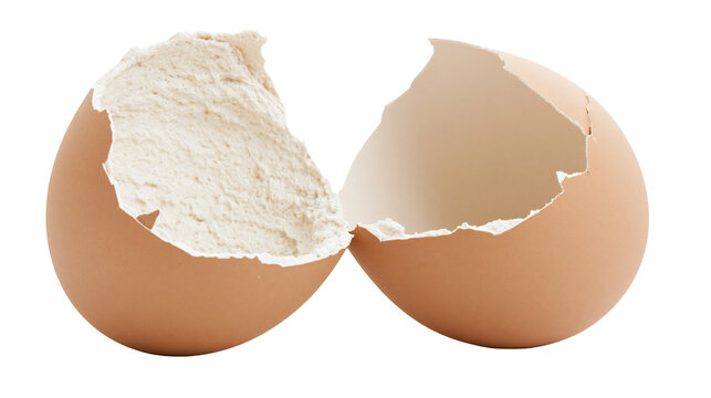 Broken brown eggshell with white powder inside, isolated on transparent background