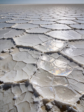 Vast, cracked white desert salt flats with a unique crystalline soil texture