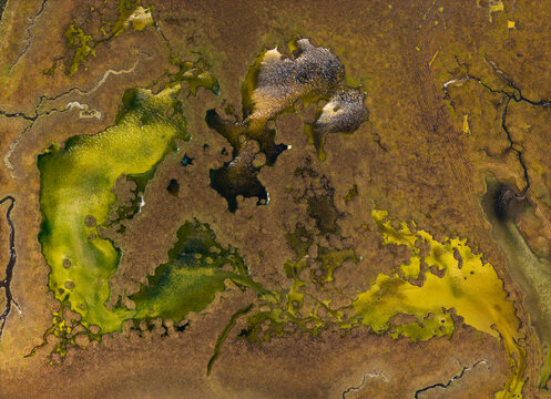 Abstract patterns forming in a diverse ecosystem, showing vivid yellow-green algae and intricate channels within marshland near Lamia, Sterea Ellada, Fthiotida, Greece