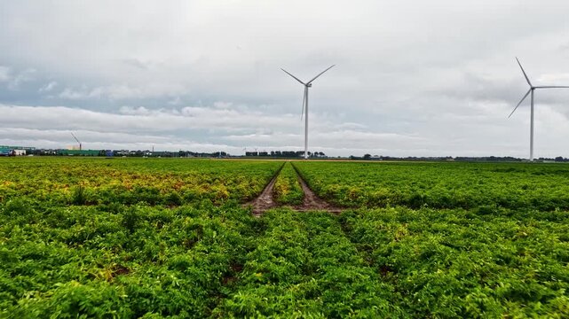 Aerial view of Agriport A7 Microsoft Hyperscale Data Center Campus with wind turbines and green fields in Middenmeer, Noord-Holland, Netherlands.
