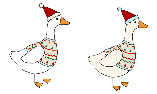Set of white geese wearing red santa hats and patterned christmas sweaters suitable for seasonal holiday greeting cards winter decorations and festive marketing projects