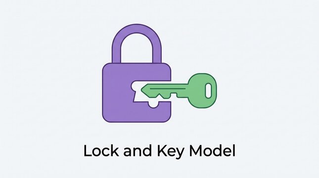 Lock and key model for enzyme substrate interaction depicted as a simple vector illustration