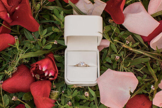 Beautiful Wedding Engagement Ring in a box surrounded by rose petals on the green grass 