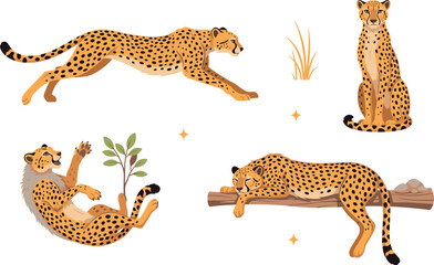 Obraz premium Wild Cheetah Character Vector Illustration Set Showing Running Sitting Playing and Sleeping Poses for Safari Nature and Wildlife Educational Graphic Designs