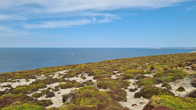 Beau panorama sur la mer d'Iroise depuis les falaises du Cap de la Ch&egrave;vre, un jour de mer d'huile avec des voiliers en mer (presqu'&icirc;le de Crozon, Finist&egrave;re, Bretagne)