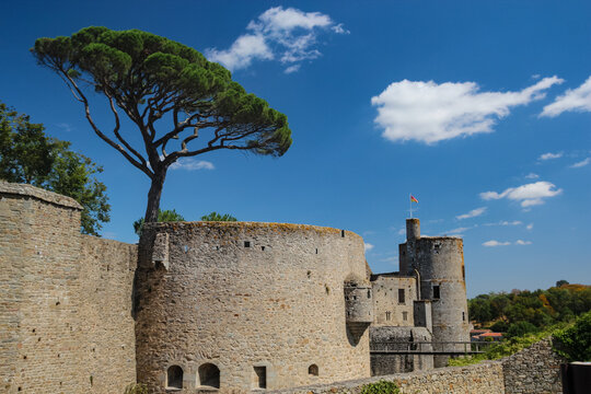 Medieval wall and stone tower of Chateau de Clisson framed by green tree against blue sky in Loire-Atlantique France