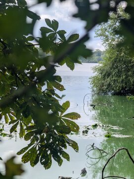 View of a calm lake framed by horse chestnut leaves and overhanging greenery on a cloudy day.
