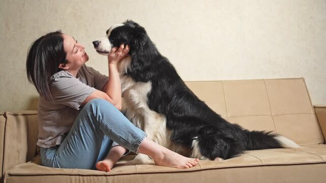 Smiling woman playing with cute puppy dog border collie on couch at home indoor. Owner girl stroking holding dog friend sitting on sofa. Love for pets friendship support team concept
