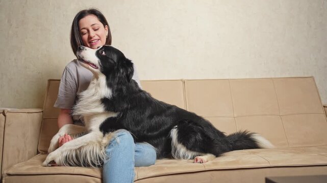Smiling woman playing with cute puppy dog border collie on couch at home indoor. Owner girl stroking holding dog friend sitting on sofa. Love for pets friendship support team concept