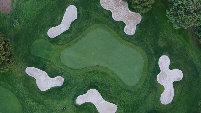 Overhead top-down perspective of a manicured golf course putting green surrounded by multiple sand bunkers, lush fairway grass, and trees at the edges