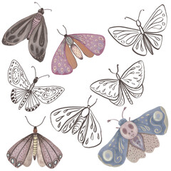 Set of mystical moths and butterflies with ink line art and watercolor textures isolated on white background © Svitlana