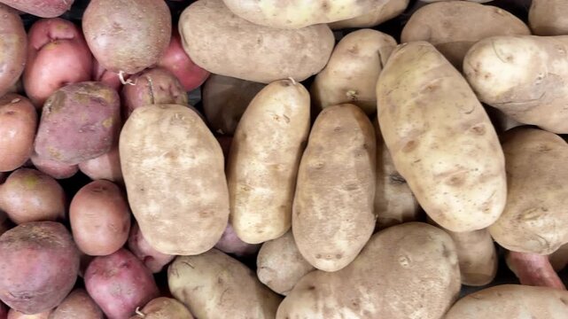 Red, yellow and sweet potatoes displayed together at a grocers store.