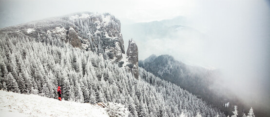 Naklejka premium winter landscape with snowy fir trees in the mountains