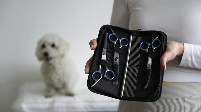 A person holds an open case containing dog grooming scissors and a comb toward the camera. A small white Bichon Frise dog sits blurred in the background indoors.