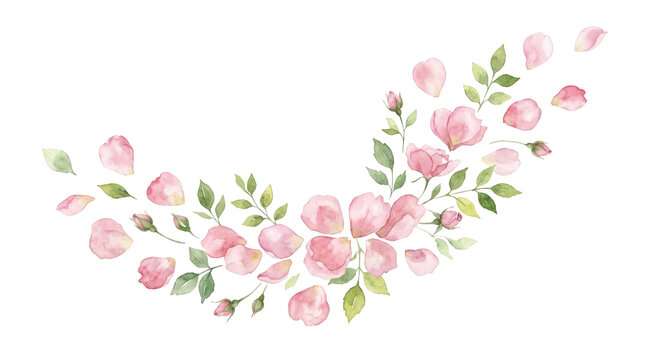 Watercolor pink rose petals and leaves arrangement isolated on transparent background