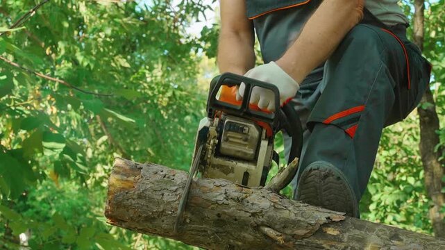 Male worker in gray overalls operates a chainsaw on a fallen log in a lush green forest, with trees and foliage surrounding the scene, showcasing the action of cutting wood for maintenance