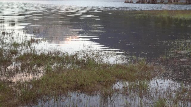 Reflection of mountains in wetland at Ralph River