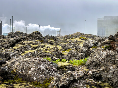 View of Svartsengi Geothermal Power Plant with steam rising from industrial vents over a rugged volcanic lava field covered in moss in Grindavik, Grindavikurbaer, Iceland.