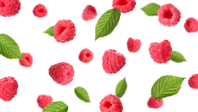 Fresh raspberries and green leaves flying in air against white background