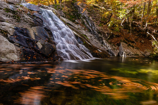 View of the Lagoni waterfall cascading over dark rocks into a clear pool surrounded by autumn foliage in the forest in Corniglio, Emilia-Romagna, Italy.