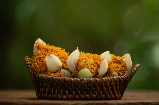 The pollen of the indian rose chestnut flower is key ingredient in traditional Thai herbal medicine on natural background.