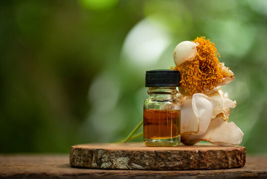 Indian rose and chestnut flowers are extracted to make perfume on natural background.