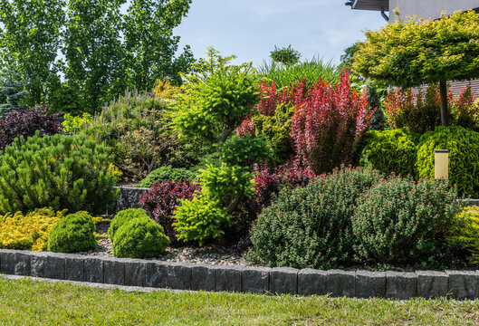Layered ornamental shrubs along a stone garden border