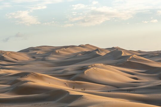 View of the Sahara Desert with rolling sand dunes under a soft sky in Morocco.