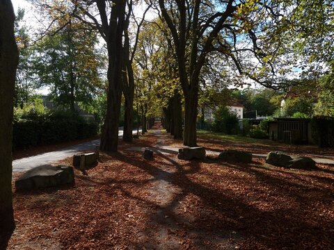 "Paceful autumn afternoon in the park".