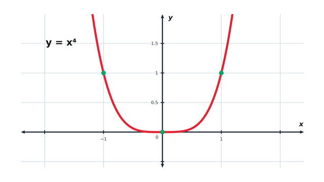 Quartic Function Graph y equals x to the Fourth Power