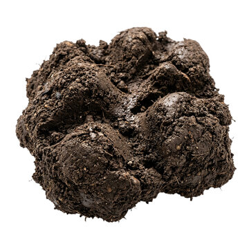 Close up of animal dung with appears detailed close on transparent background