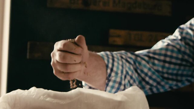 Beer Brewer Inspecting Barley Malt for Beer Production in Slow Motion