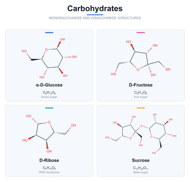 Carbohydrate sugar molecule structures glucose fructose ribose sucrose