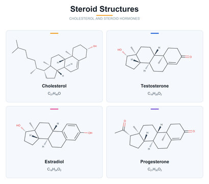 Steroid structures cholesterol and steroid hormones