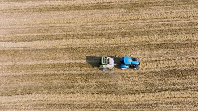 Blue tractor pulls round baler across golden stubble field. Aerial top down drone view of straw harvest. Peaceful summer countryside farm work. Agriculture machinery making hay bales on sunny day.