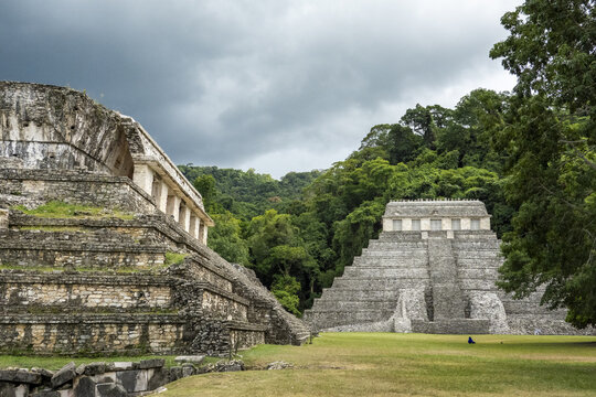 View of the ancient Mayan pyramids of Palenque surrounded by lush jungle foliage under a cloudy sky in Palenque, Chiapas, Mexico.