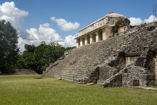View of the ancient Mayan Temple of the Inscriptions at Palenque, featuring weathered stone architecture and tiered steps in a grassy plaza under a blue sky in Palenque, Chiapas, Mexico.