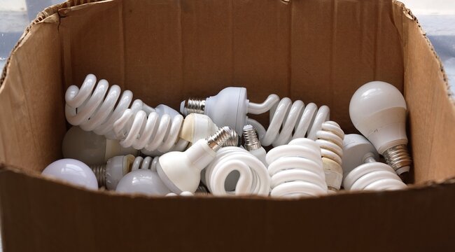 Fluorescent tubes, Compact Fluorescent Lamps, LED light bulbs, Halogen bulbs, Incandescent light bulbs