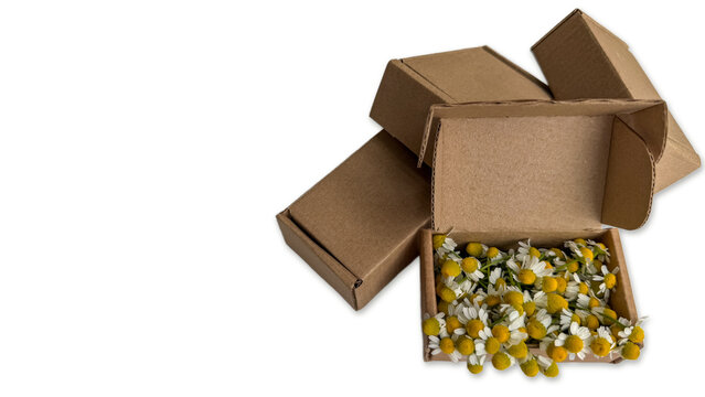 Craft paper box with dried chamomile blossoms isolated in top right corner on white background, herbal tea concept.