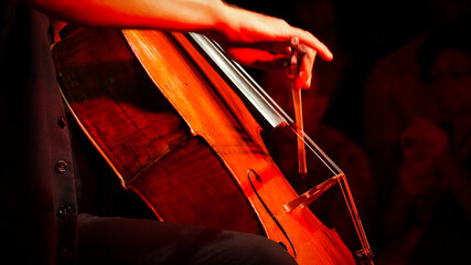 Musician playing a cello in a concert performance © F#ck yeah! Go you!
