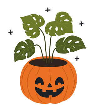 Cute potted plant in a ceramic pumpkin pot with monstera leaves. Halloween jack‑o‑lantern flower pot fun spooky botanical vector illustration perfect for seasonal decor and indoor plant designs