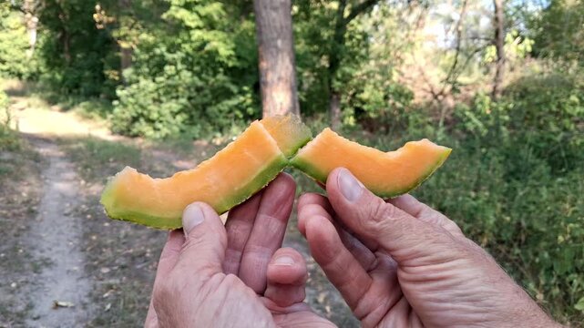 A slice of ripe juicy melon in the hands of a man.Picnic in the open air.