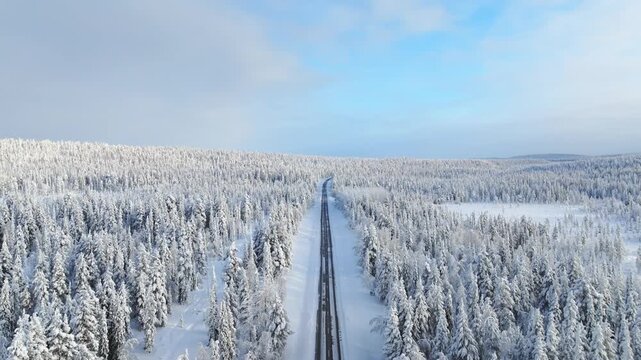 Aerial drone view of a road passing through a snowy pine forest on a bright winter day. Scenic winter road trip journey through cold fir trees.