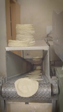 Tortilla machine producing fresh corn tortillas on conveyor
