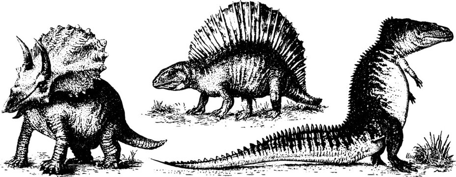 Black and white prehistoric dinosaur engravings featuring ceratopsian dimetrodon and large reptile figures for natural history background and education