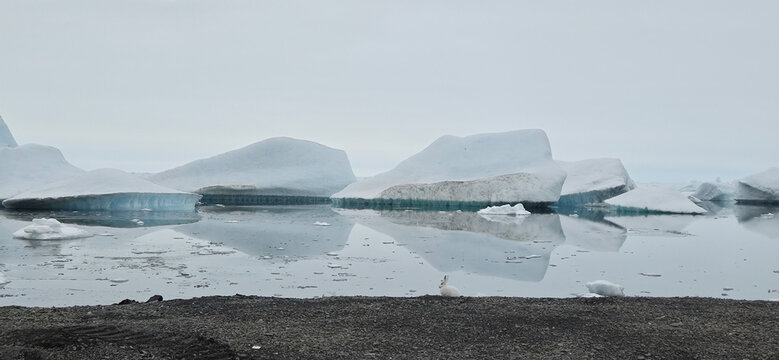 Canada's High Arctic Landscape