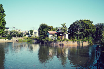 Fototapeta premium 碑文谷公園 碑文谷池