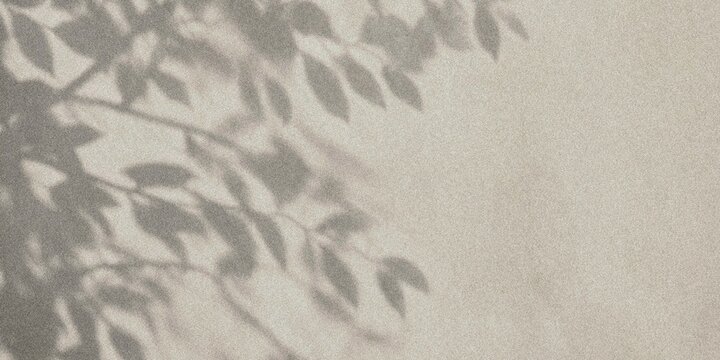 Abstract leaf shadow on textured beige concrete wall background for minimalist design