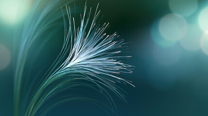 Fototapeta premium Blurred Green Grass Blades Against Dark Background
